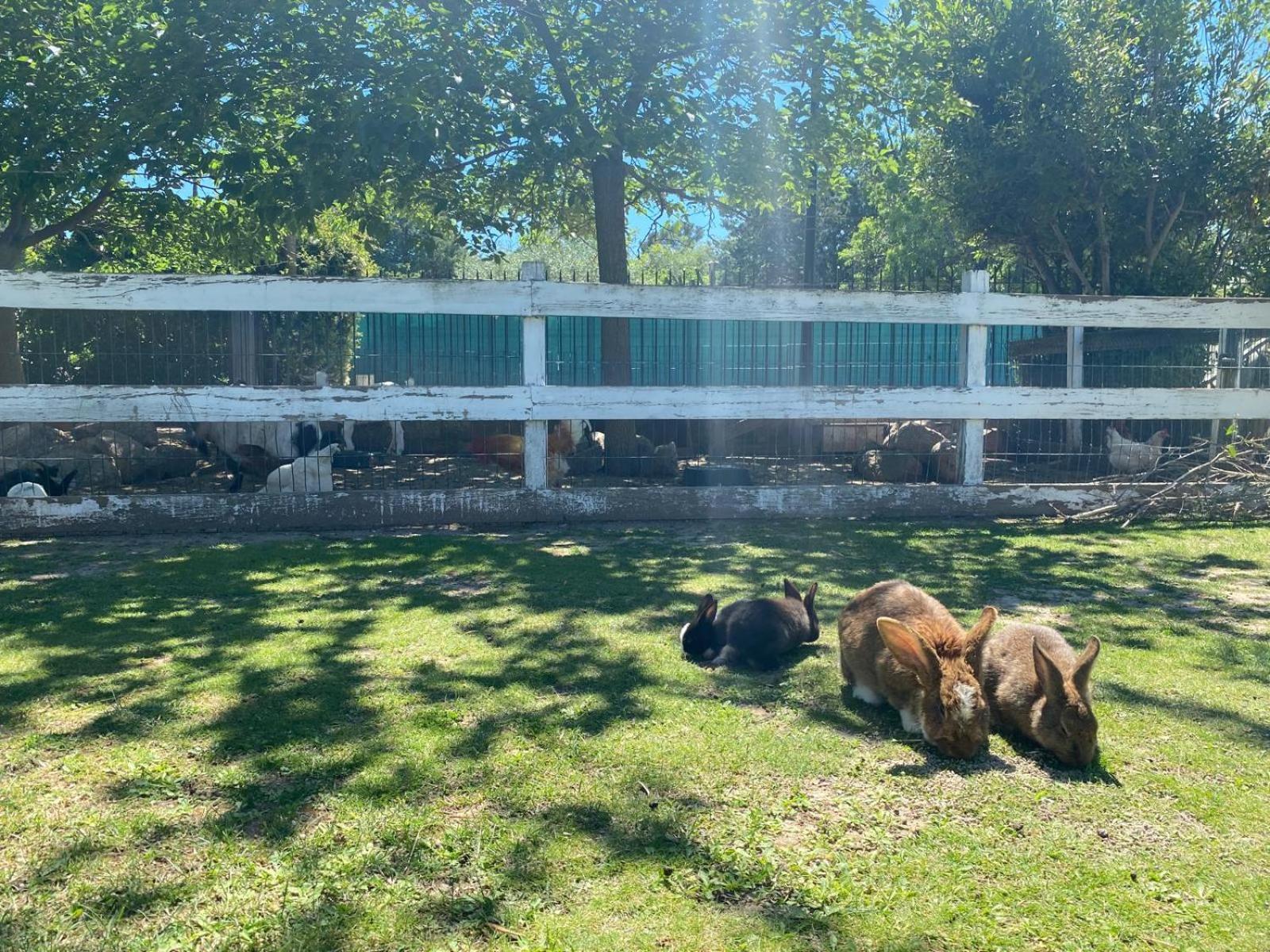 Domaine De La Sourco - Villa, Maisons & Chalet, Magnifique Havre De Paix En Provence 普罗旺斯地区特朗 外观 照片